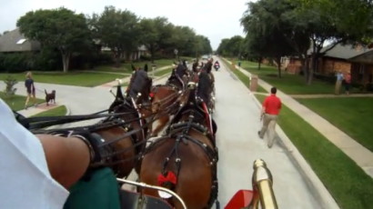 Clydesdale Flash Appearance